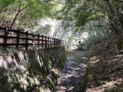 野見宿禰神社