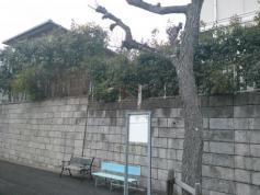 「右京五丁目」バス停留所