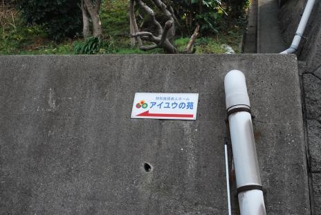 アイユウの苑