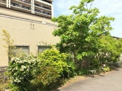 川嶋歯科医院