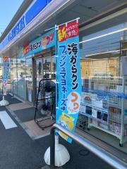 ローソン　南足柄岩原店