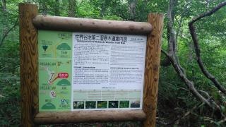世界谷地原生花園