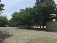 中島中央公園