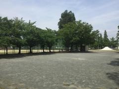 中島中央公園