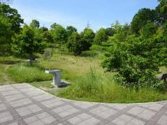 イモ山公園
