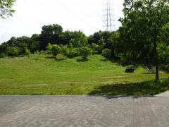 イモ山公園