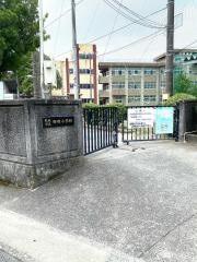田迎小学校