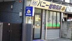 バニー動物病院