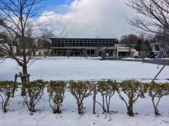 国際教養大学大学院