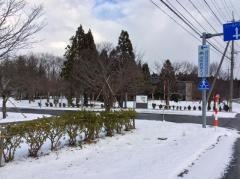 国際教養大学大学院