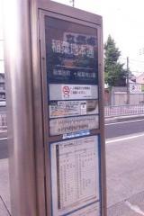 「稲葉地本通」バス停留所