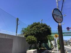 「克明小学校前」バス停留所