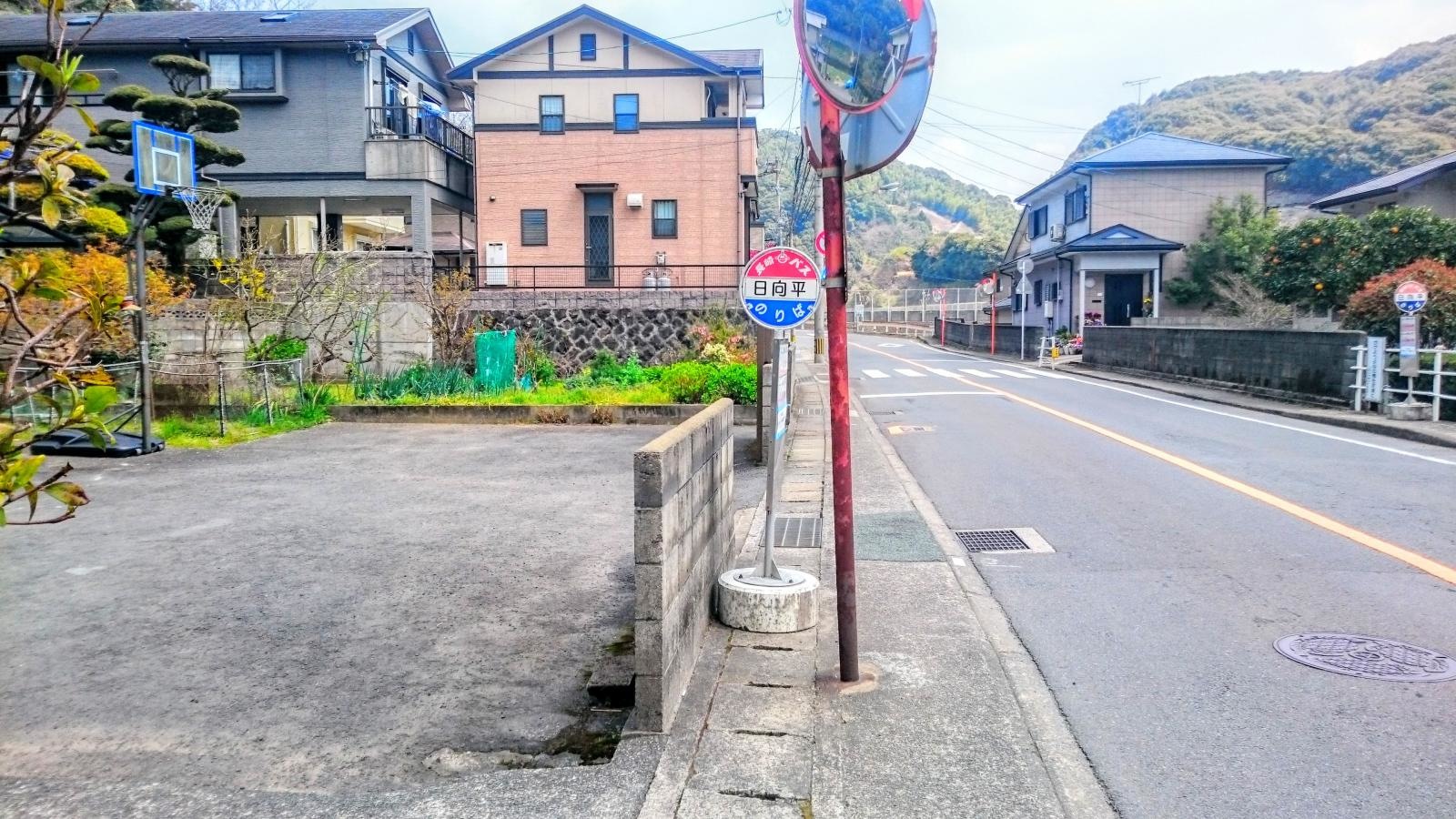 全景