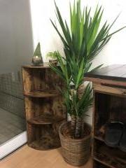 ヒロ整骨院