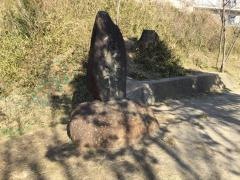 中山中央公園