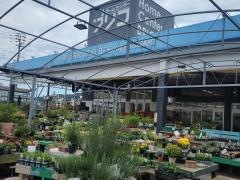 ブリコ　桟橋店