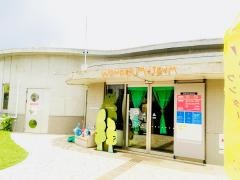 ワンダーミュージアム