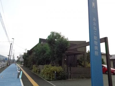 ドッグメディカル あおねこ動物病院 筑紫野市針摺東