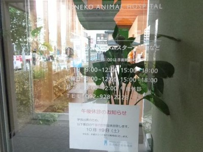 ドッグメディカル あおねこ動物病院