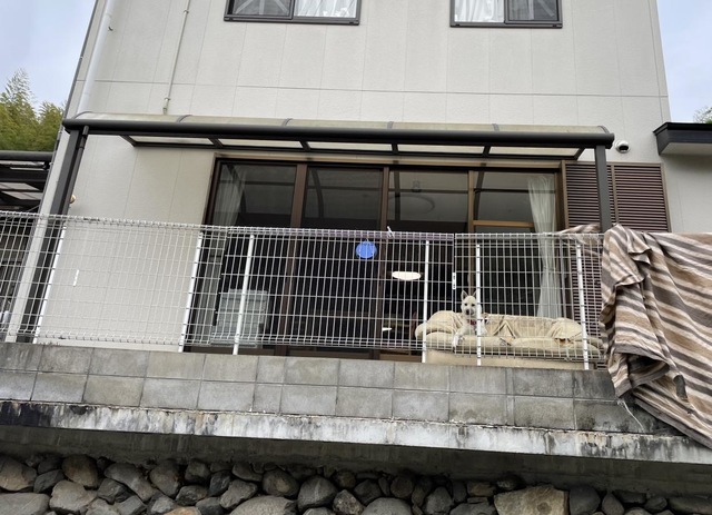 みんなの家