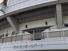 ゼットエーボールパーク