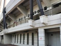 ゼットエーボールパーク