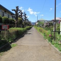 春日緑地