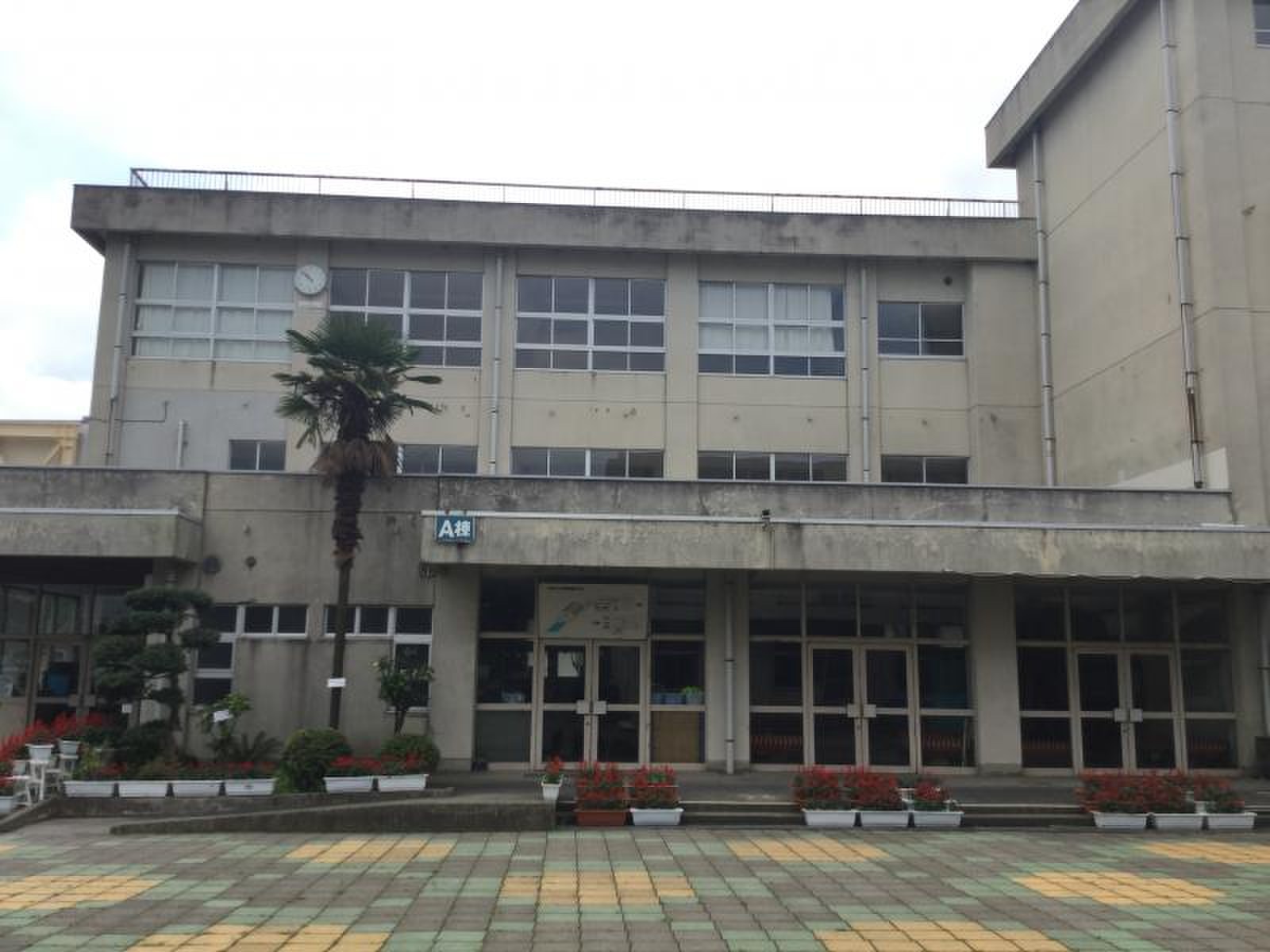 公の場での発言・インタビュー報道記録