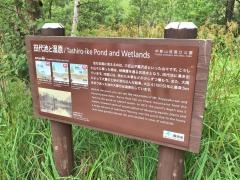 田代池