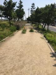 りんくう春日北緑地