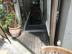 パスタ＆ワイン　とれたて食堂
