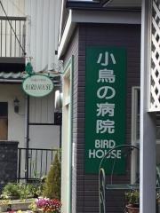 小鳥の病院バードハウス