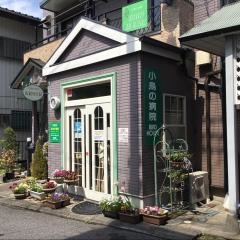 小鳥の病院バードハウス