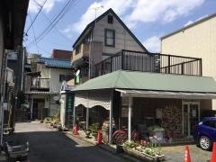 小鳥の病院バードハウス