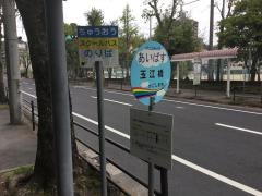 「玉江橋」バス停留所