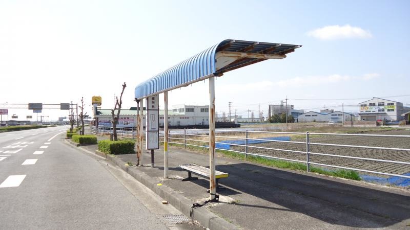 北から撮影