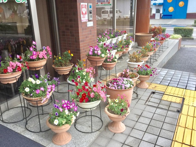 有料老人ホーム たんぽぽ森本の家 ガーデニング