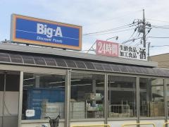 ビッグ・エー　取手青柳店