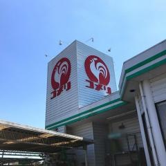 コメリハード＆グリーン　岬店