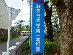 駿河台大学第一幼稚園