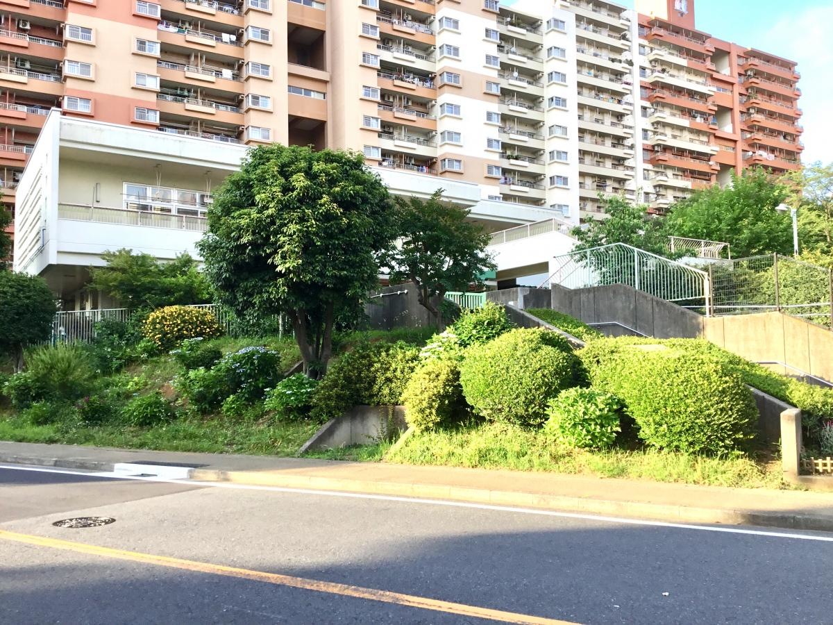 若葉台保育園