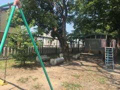 豊中公園