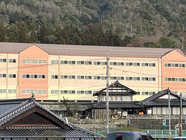 ゆうゆう