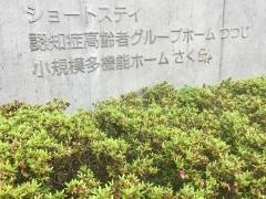 つつじ