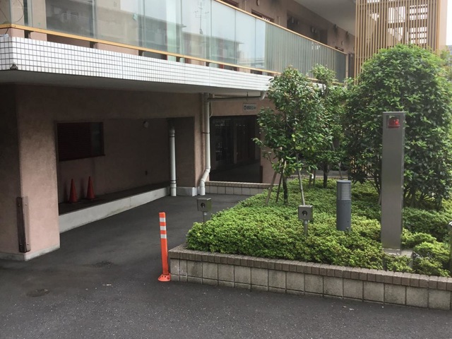 つつじ