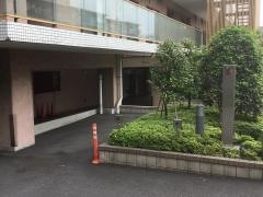 つつじ
