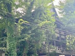 竜谷寺