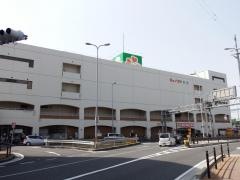 ジョイフル国分