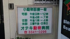 オテキ動物病院