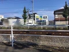 ピースリーガーデン